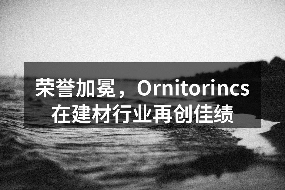 Ornitorincs团队在研发中的专注瞬间